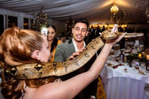 Staff event with a snake